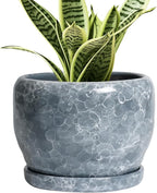 SQOWL 6 Inch Plant pots Indoor by SQOWL