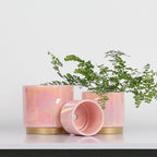 Gepege Pink Indoor Plant Pots for Plants, Ceramic Planter - Image 7