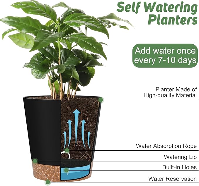 Indoor Self Watering Planters - Image 5