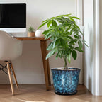 Ceramic Plant Pots - Image 3