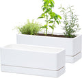 D'vine Dev 12 Inch Window Box Planter, Rectangle Plastic Herb Planter by DvineDevPlanterPotsandStand