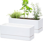 D'vine Dev 12 Inch Window Box Planter, Rectangle Plastic Herb Planter by DvineDevPlanterPotsandStand