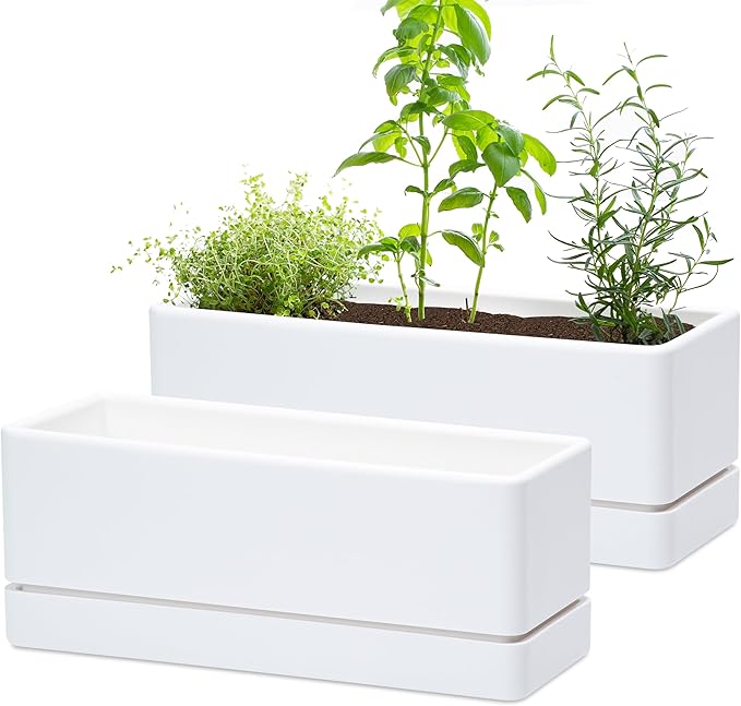 D'vine Dev 12 Inch Window Box Planter, Rectangle Plastic Herb Planter by DvineDevPlanterPotsandStand