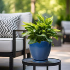 Ceramic Plant Pot - Image 5