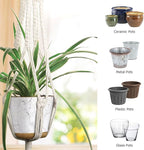 MIPON 3 Pack Macrame Plant Hanger Indoor Hanging Planter Holder - Image 3