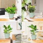 Planters for Indoor Plants 7/6.5/6/5.5/5 Inch, Self Watering Planters - Image 6