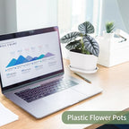 Windowsill Garden Pots, Succulents, African Violet - Image 8