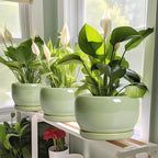 SQOWL Ceramic Planter - Image 6