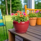 6 Inch Plant Pot - Image 4