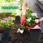 Square Nursery Pots 3" 120Pcs Deep Succulent Plastic Pots Small Flower Planter - Image 6