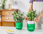 Melphoe Self Watering Pots for Indoor Plants Planter, 5.3 Inch 2 Pack Planters - Image 2