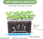Self Watering Planters - Image 4