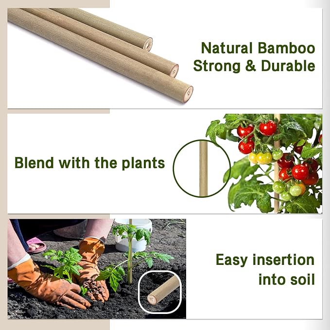Plant Stakes, 16 Inches Natural Garden Bamboo Sticks, BOVITRO 20Pcs Plant - Image 4