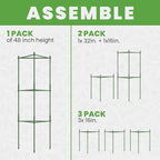 Tomato Cage - Large Trellis Stakes and Plant Support Structures - Image 6