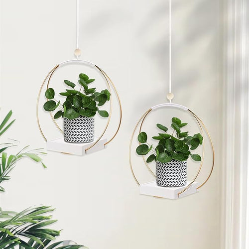 2 Pack Hanging Planter Holder for Indoor Plants, Plant Hanger - Image 2