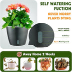 Self Watering Pots for Indoor Plants, Small African Violet Pots - Image 3