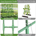 2 Packs Cucumber Trellis for Raised Beds, 31 X 47 Inch Adjustable Size A-Frame - Image 4