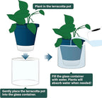 D'vine Dev 8 Inch Design Self Watering Planter - Image 4