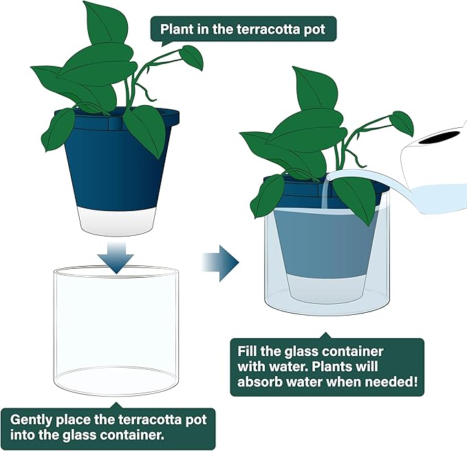 D'vine Dev 8 Inch Design Self Watering Planter - Image 4