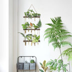 Mkono Plant Propagation Tubes, 3 Tiered Wall Hanging Terrarium - Image 2