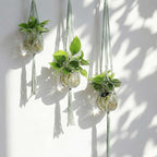 6 Pcs Plastic Plant Propagation - Image 3