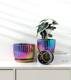 Ton Sin Flower Pots, Small Glazed Succulent Pots - Image 7