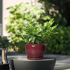 SQOWL 6 Inch Plant Pot - Image 4