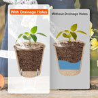 60 Packs 3.15 Inch Peat Pots, Biodegradable Pots - Image 4