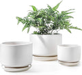 LE TAUCI Ceramic Plant Pots, 4.3+5.3+6.8 inch, Planters by LETAUCI