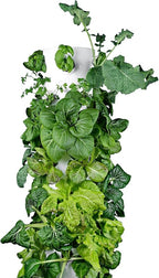 HX Aeroponic Tower | High Capacity Tower | Hydroponics Growing System Kit | - Image 6