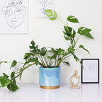 Gepege Ceramic Pots for Plants, Rainbow Pearl Glaze Planter - Image 7
