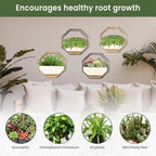 IRYL Wall Planter for Indoor Plants - Image 4