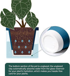 D'vine Dev 6 Inch Design Self Watering Planter - Image 5