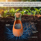 Ollas Plant Watering Globes - Image 3