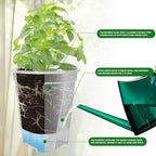 Cdd's Path Large Naked Root Planter Self Watering Pots Set - Image 3