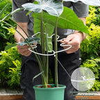 5PCS Monstera Plant Stem Support White 9 * 7.6in - Image 4