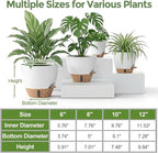 Plant Pots, Modern Planters for Indoor Outdoor Plants, Room & Office Décor - Image 4