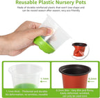 MIXC Thickened Clear Nursery Pots - Image 4