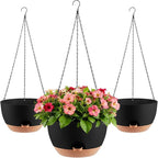 3-Piece Set of 10-Inch Hanging Planters by Unknown