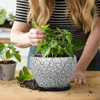Ceramic Planter Pot - Image 6