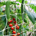 Trellis Netting, CANAGROW Heavy-Duty Garden Plant Trellis Netting by CANAGROW