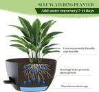 2 Pack 10 Inch Self Watering Hanging Planters - Image 6