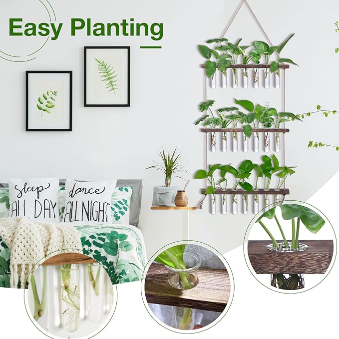 XXXFLOWER Wall Hanging Propagation Station - Image 3