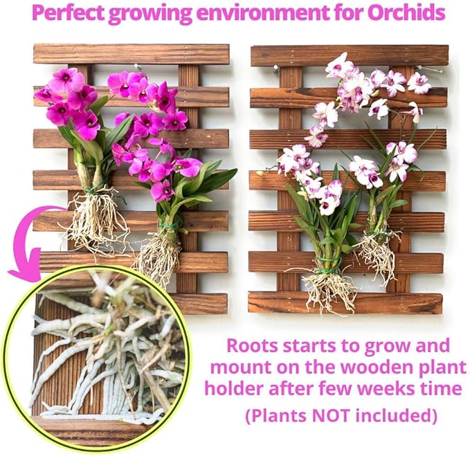 ShopLaLa Wall Planters - Image 5