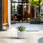 Kante Round Concrete Planter, 9 Inch Dia Classic Style Large Plant Pot - Image 3