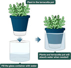 D'vine Dev 4 Inch Design Self Watering Planter - Image 4