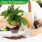 40 Pack 3.3 Inch Clear Nursery Pots - Image 5