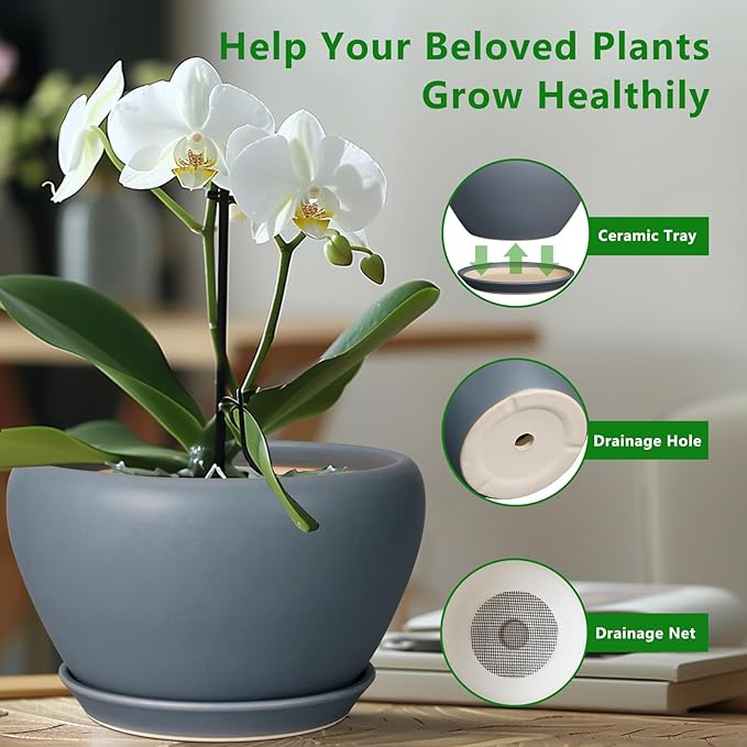 Ceramic Pots for Plants - Image 6
