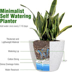 10 inch Self Watering Pots, Plant Pots - Image 4