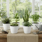 Plant Pots 8 Inch Set of 6, Flower Pots - Image 7